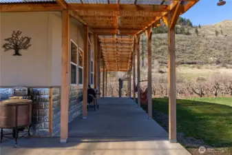 Back patio area