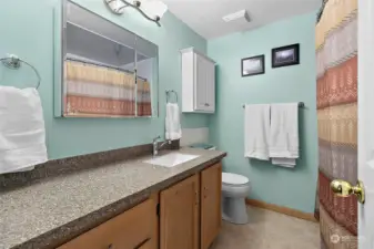 Primary bathroom with large shower area.