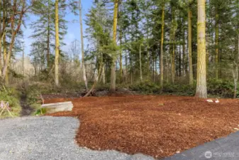 This back yard area is a designated wetland buffer. Follow the trail at the left for access to literally miles of trails!