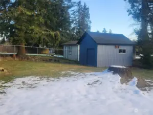 Shed in Backyard