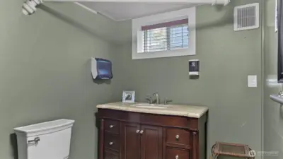 Lower level bathroom