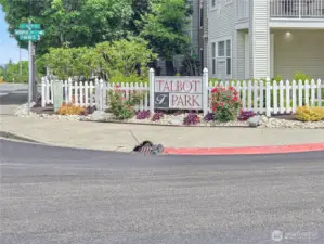 Talbot Park