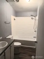 Hall bathroom