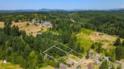 The two rectangular lots to the east.