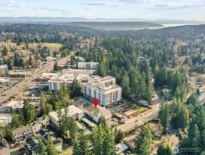 Lake Washington isn't far either.