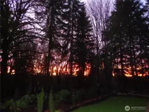 Expect glorious sunrises through the woods...a great way to start your day with a walk up the driveway or through the woods