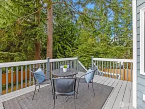 DECK OFF OF THE KITCHEN OFFERS DINING AND COOKING OPTIONS