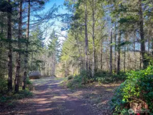 Well maintained road access to the property.