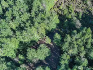 Watch your investment grow !