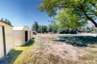backyard with storage sheds