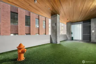 Pet area
