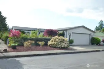 Another view of the lovely yard.