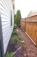 North side yard.
