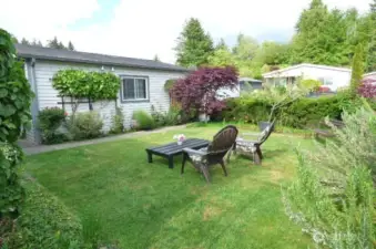 Another view of the front yard. Notice all the plants - rosemary, lilacs, roses, honeysuckle and so much more!