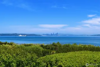 Expansive view!