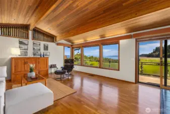 Amazing living room and view!