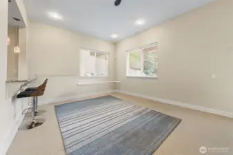 lower level great room