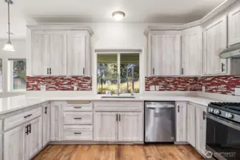 Corian countertops. Lots of storage and countrop room.