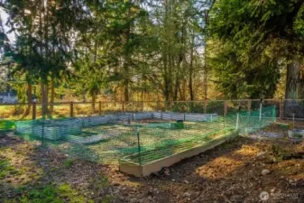 Huge garden area. Has been a big producer!