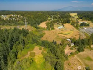 Aerial showing the land on both sides of Squalicum Creek. The creek divides these fields.