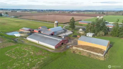 Northern overhead view . Looking toward Canada with neighboring berry crops in the background