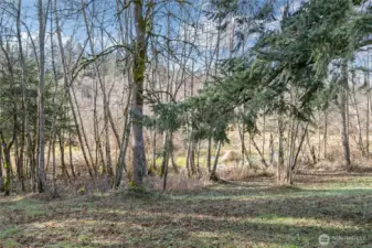 South side just outside the property lines is year around Muck Creek, which brings in Blue Heron, Eagles, Hawks and Deer.