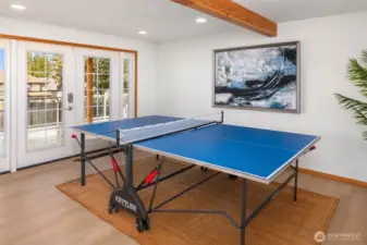 Lower-level rec room.