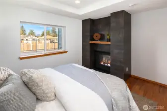 Lower-level bedroom with dual sided fireplace.