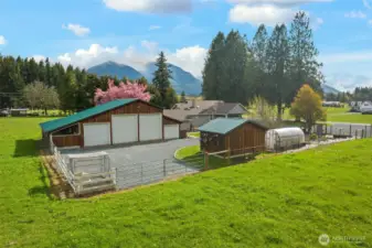 Spacious 4 Bay 2126 sqft shop/garage/barn has room for all your toys and projects. East side opens to pasture with stalls for horses or other farm animals. Water hydrants on 3 fenced areas of pasture for easy watering. The small building next to the greenhouse is the pump house /canning room is fully finished with heat holds, water softener, stainless steel sink for processing fruit, veggies, fish & meat.