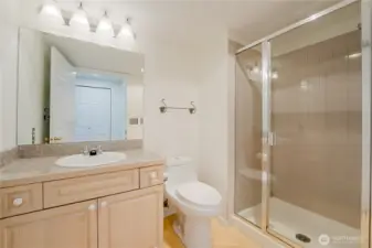 Guest Bath with Shower