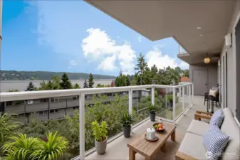 Expansive View Deck with Storage Closet (virtual staging)