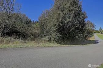 Paved road through great neighborhood.