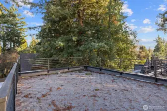 Spacious rooftop deck up above it all.