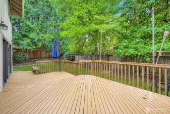A brand new fence has been recently installed. The two-level spacious deck will make entertaining enjoyable with wonderful privacy created from the mature landscaping and trees.