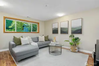 Downstairs bonus/media room