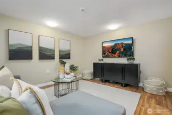 Downstairs bonus/media room