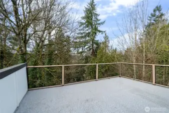 Huge rooftop deck! Great views!