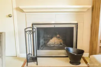 fire place in living room