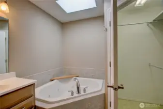 The walk-in closet has ample space.