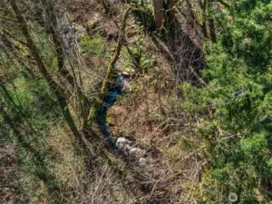 A gentle creek murmurs below.