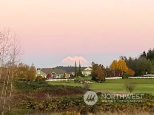 You think Mt. Rainier looks epic in photos? Wait until you see it in real life. This natural masterpiece towering above the wetlands behind your home is nothing short of breathtaking. It’s like having your own personal postcard view, but the kind that a screen can’t capture. Trust me, the way this grand mountain commands your attention in person will leave you speechless every single day. It’s all about living in the moment with a front-row seat to nature’s most impressive show!