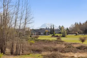 You think Mt. Rainier looks epic in photos? Wait until you see it in real life. This natural masterpiece towering above the wetlands behind your home is nothing short of breathtaking. It’s like having your own personal postcard view, but the kind that a screen can’t capture. Trust me, the way this grand mountain commands your attention in person will leave you speechless every single day. It’s all about living in the moment with a front-row seat to nature’s most impressive show!