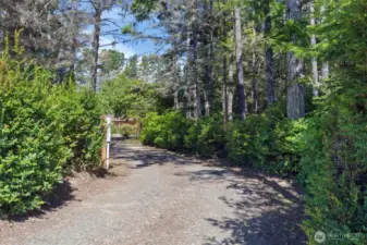 Private drive to your sanctuary- huckleberry and rhododendron enclave