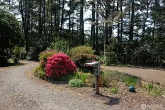 Easeful circular driveway, power for your RV