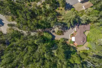 Peaceful and private, your verdant oasis