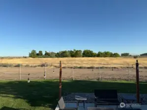 pasture