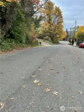 Neighborhood Looking South