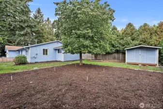 Fully fenced yard ready for your touches.