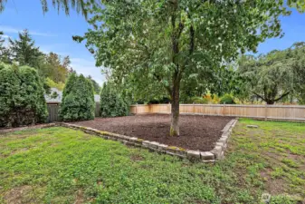 Clover grass yard that is growing in.