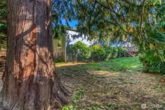 Really pretty lot with cedar fencing gives a private feeling.